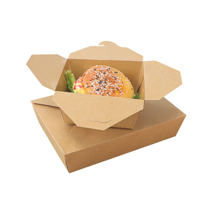 10 Kraft Paper Food Box