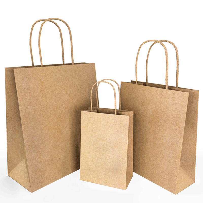 Twisted Handle Paper Bag (27*32*11cm)