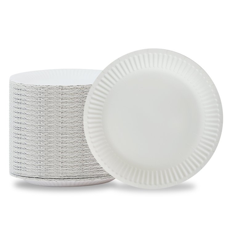 2 Round Paper Plate