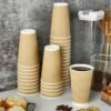 20OZ Ripple-Wall Paper Cup