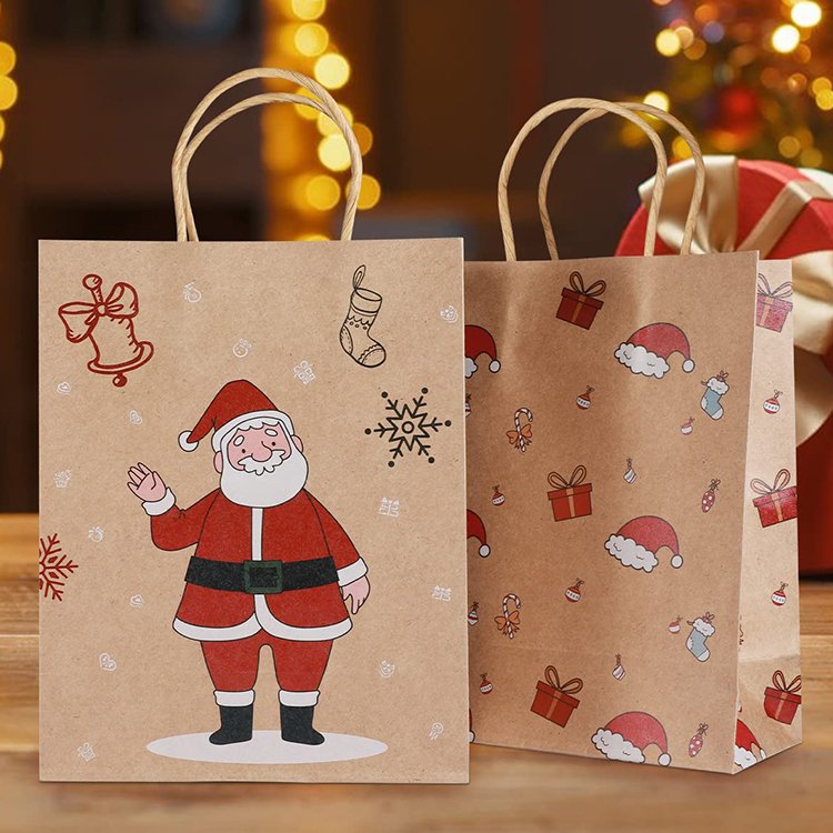 Twisted Handle Paper Bag (27*32*11cm)