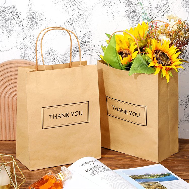 Twisted Handle Paper Bag (27*32*11cm)