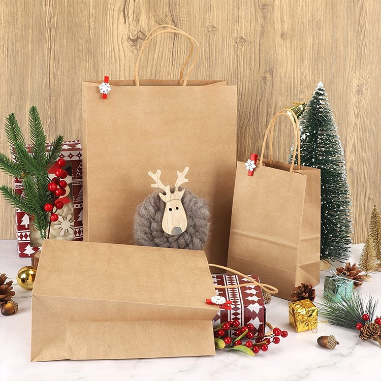 Twisted Handle Paper Bag (27*32*11cm)