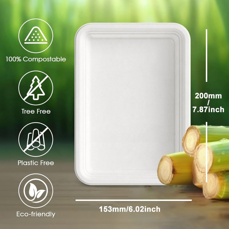 尺寸 Rectangle Paper Plate