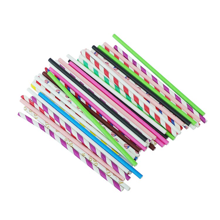 13 Paper Straw